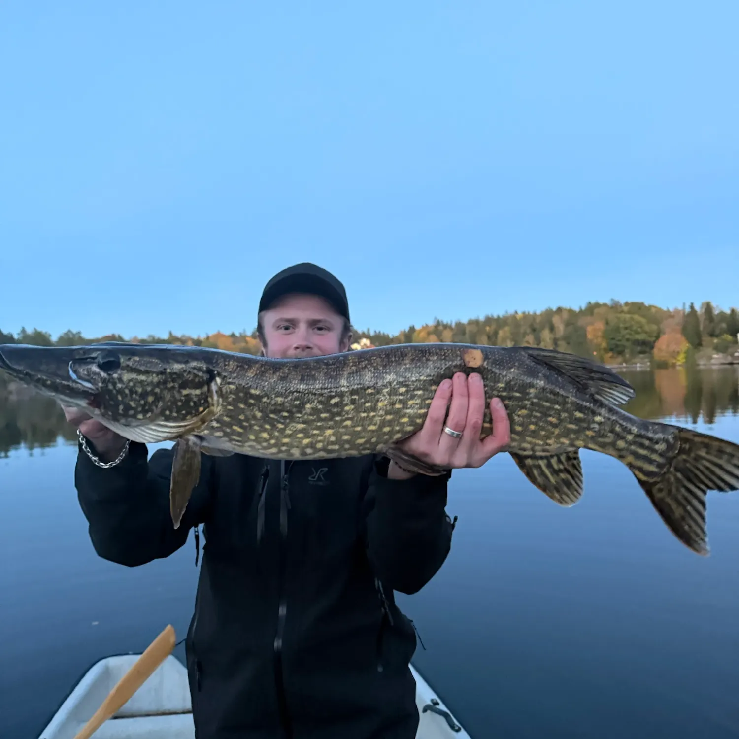 Northern pike caught on Fishbrain