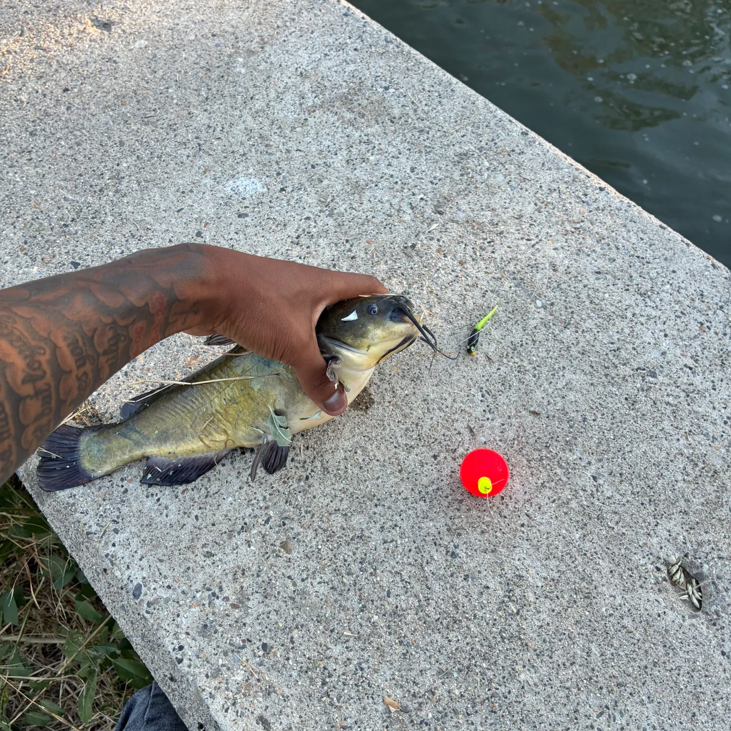 catch