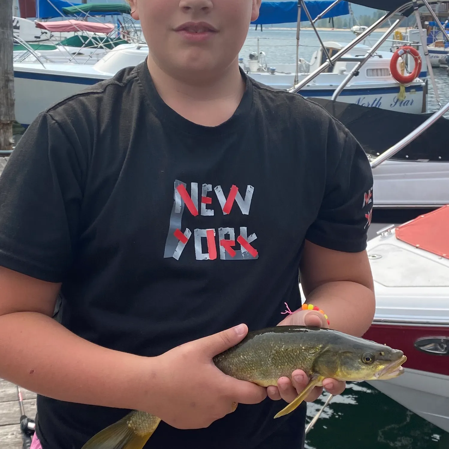 Bull trout caught on Fishbrain
