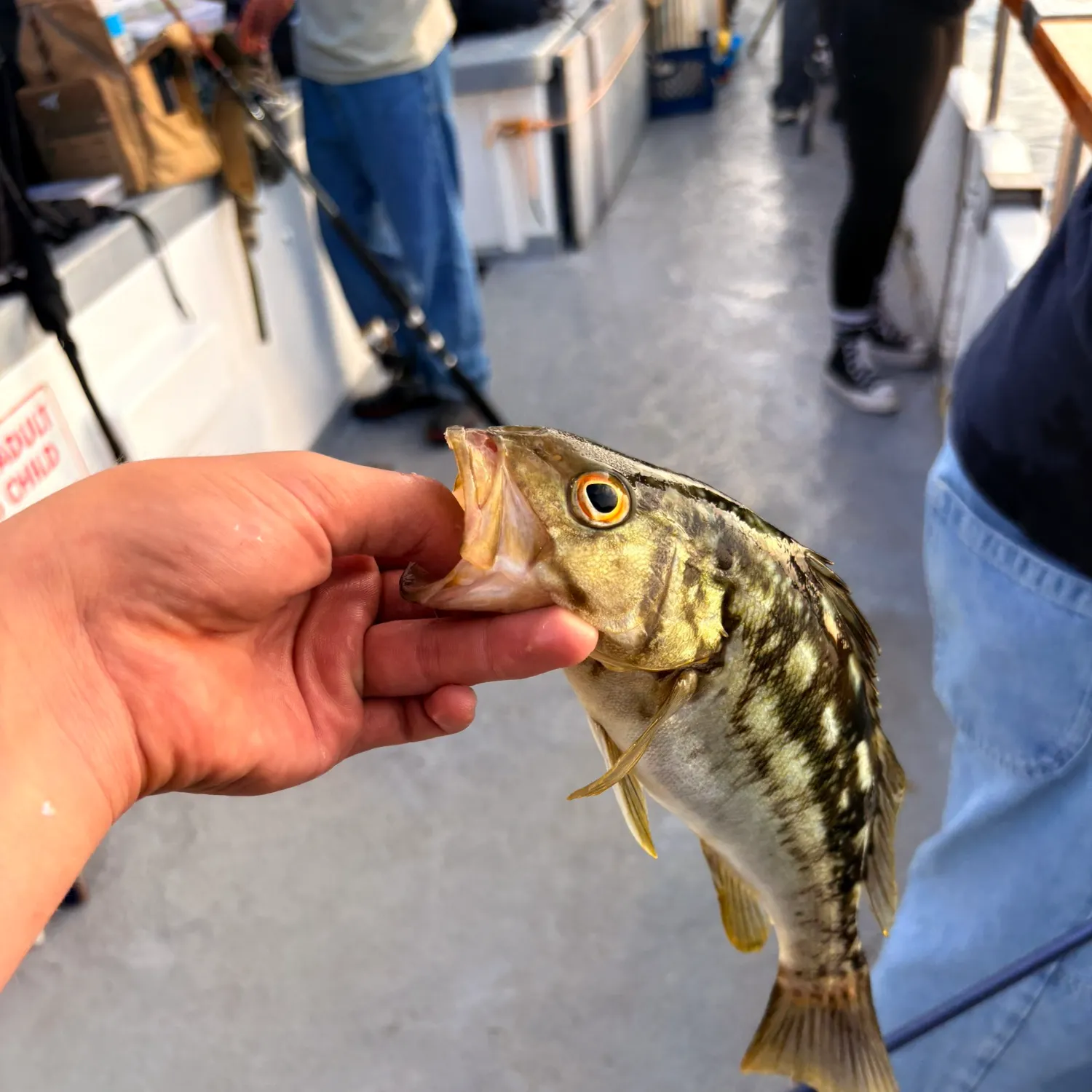 catch