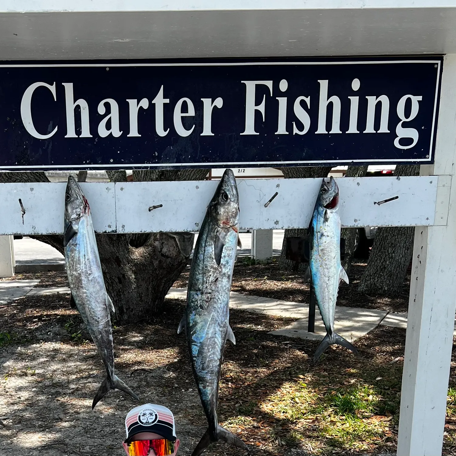 The most recent King mackerel catches on Fishbrain