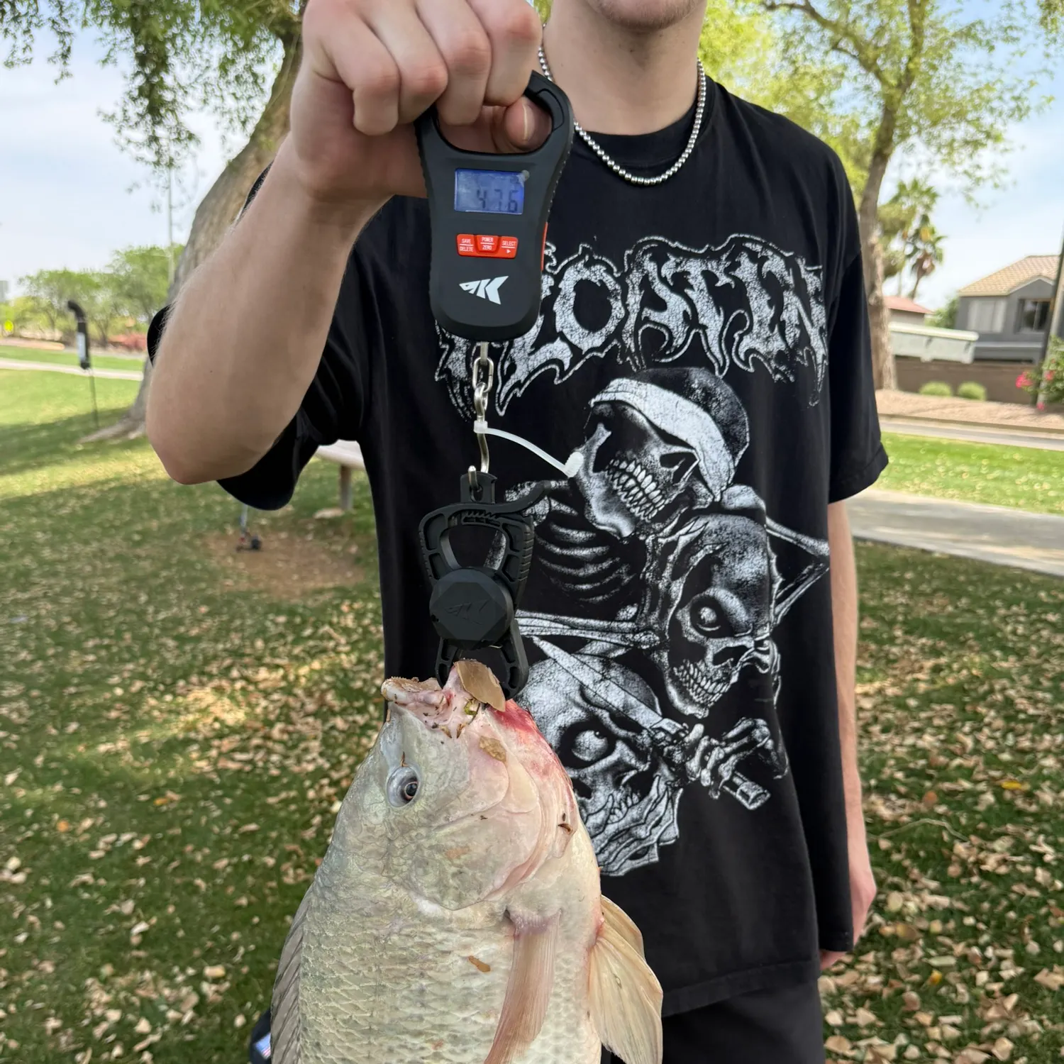 recently logged catches