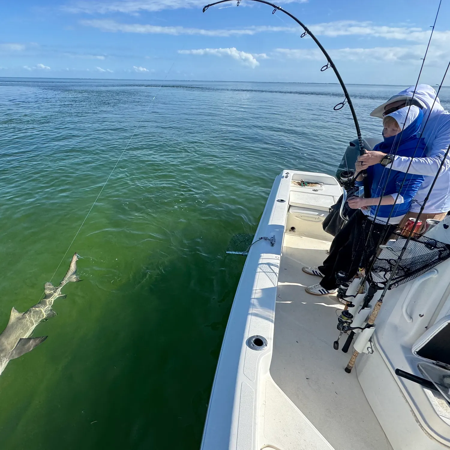 The most recent Common dolphinfish catches on Fishbrain