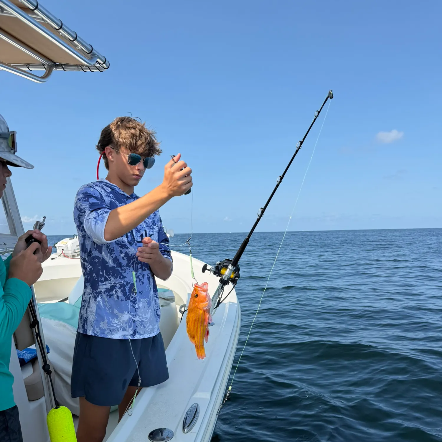 The most recent Strawberry hind catches on Fishbrain