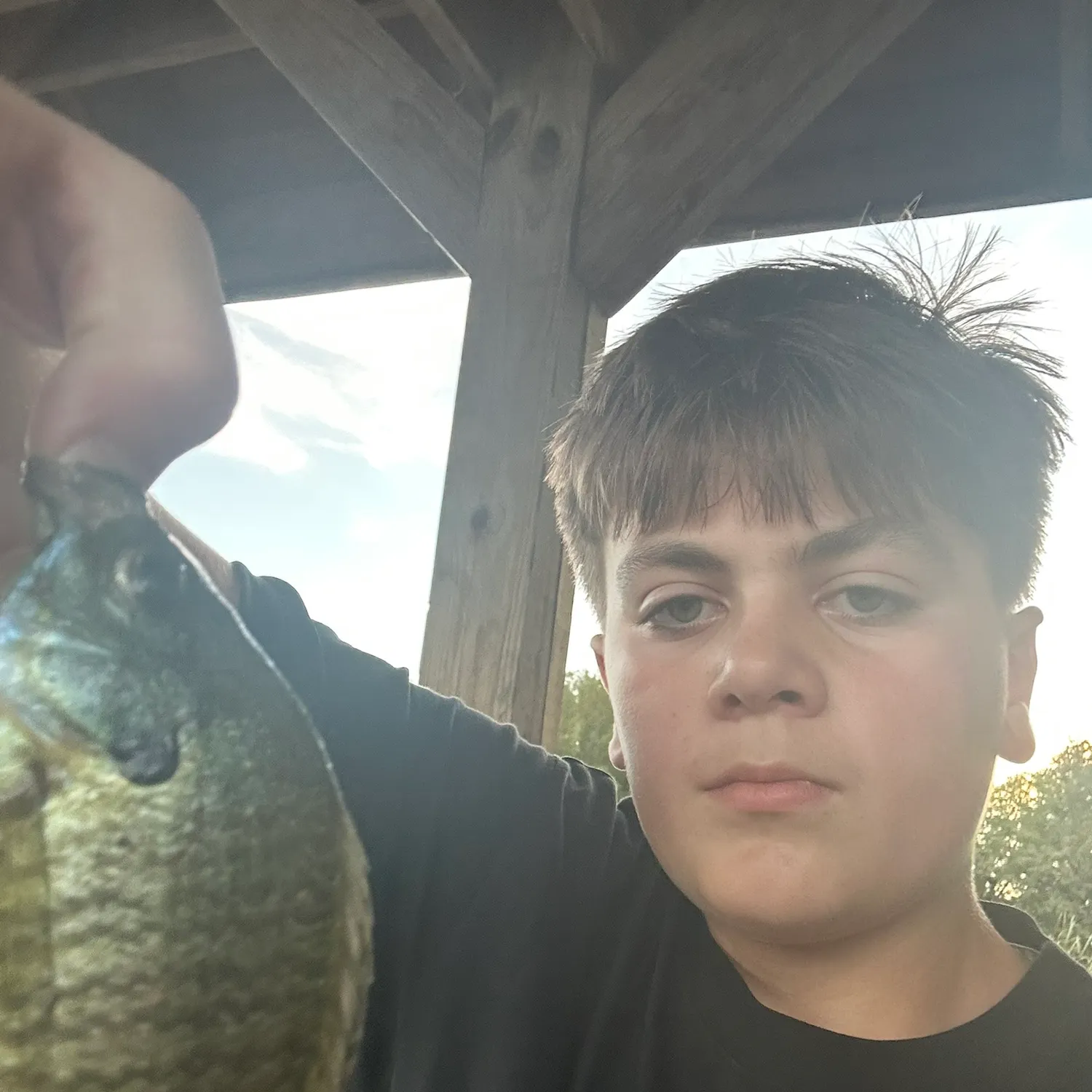 Bluegill caught on Fishbrain
