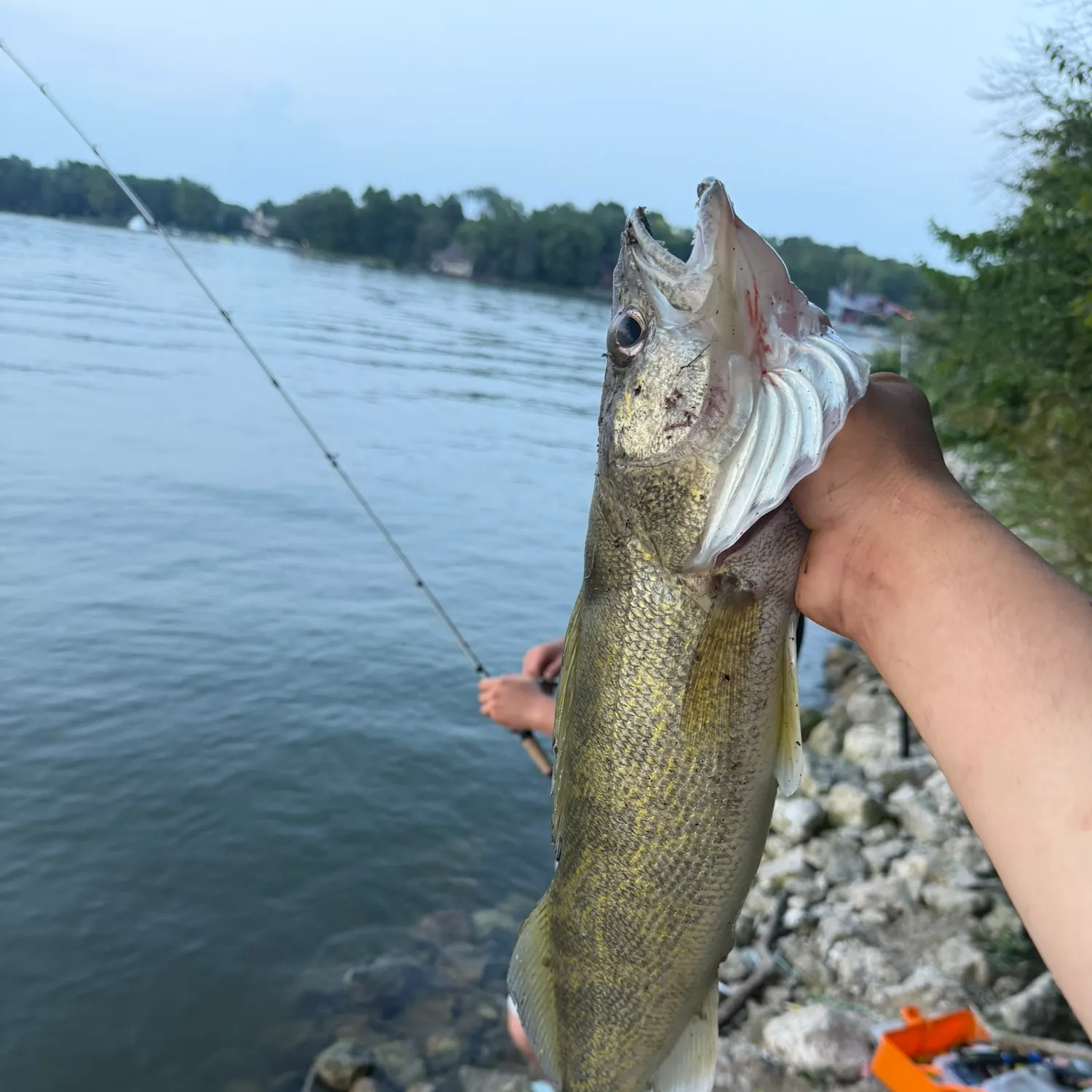 catch