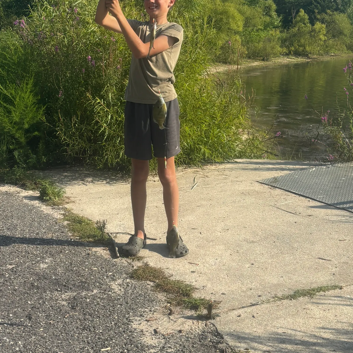 Bluegill caught on Fishbrain