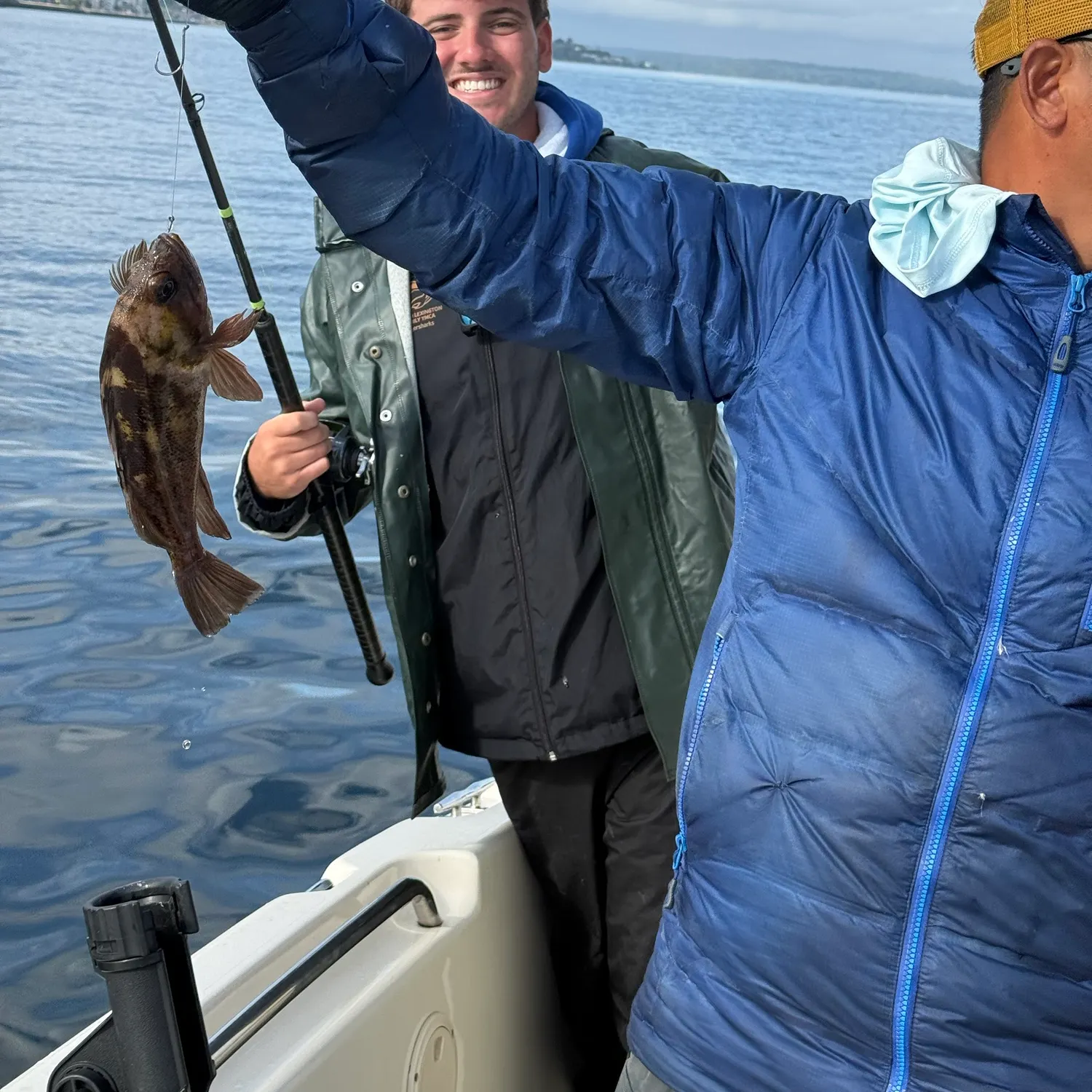 The most recent Black rockfish catches on Fishbrain