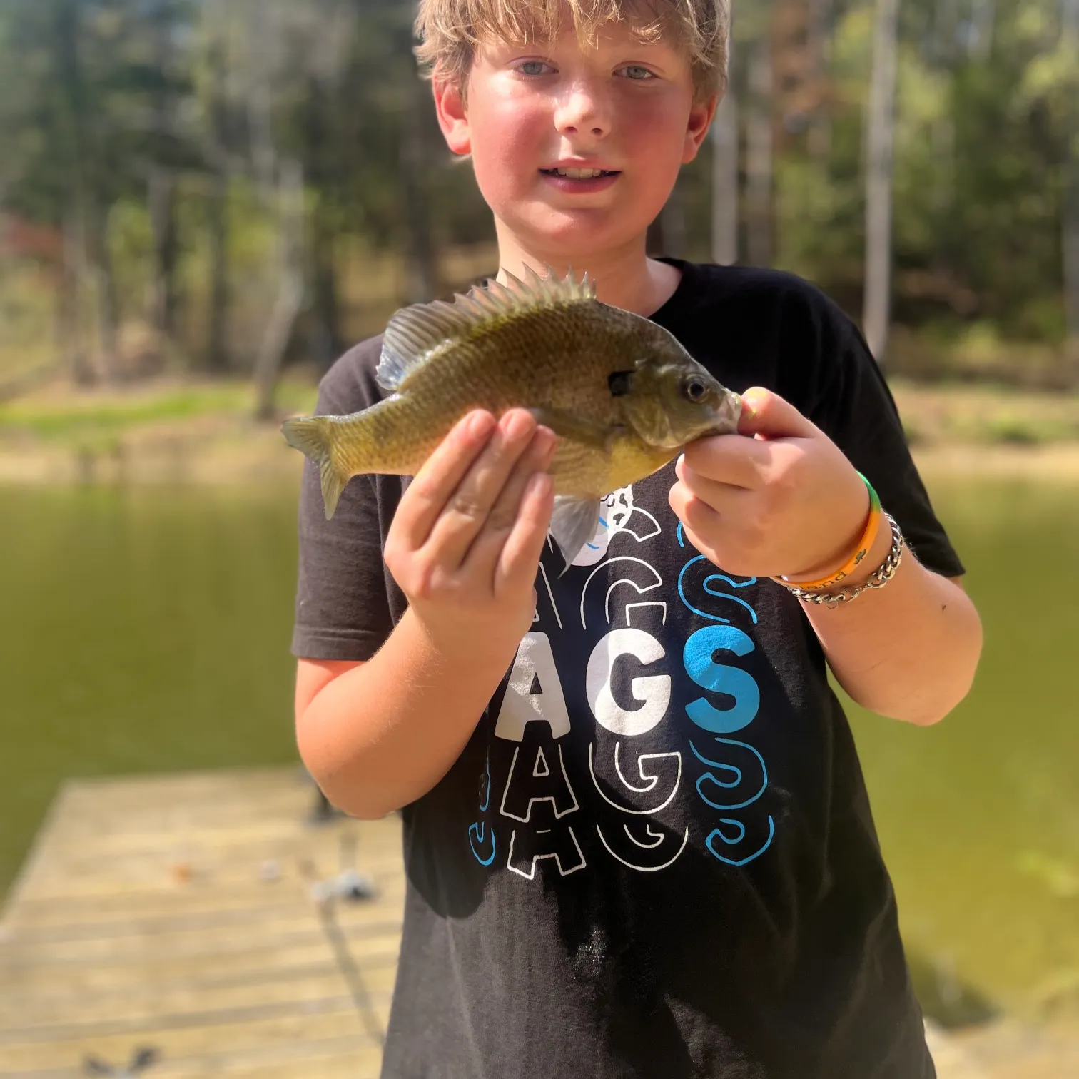 The most recent Bluegill catches on Fishbrain