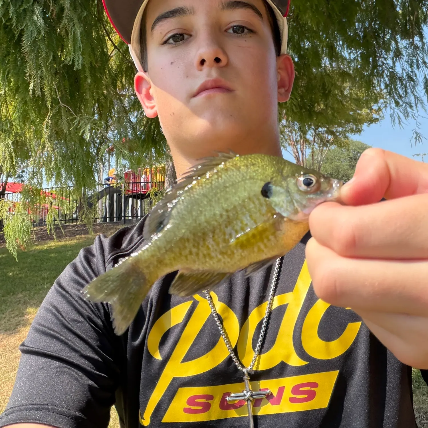 Bluegill caught on Fishbrain