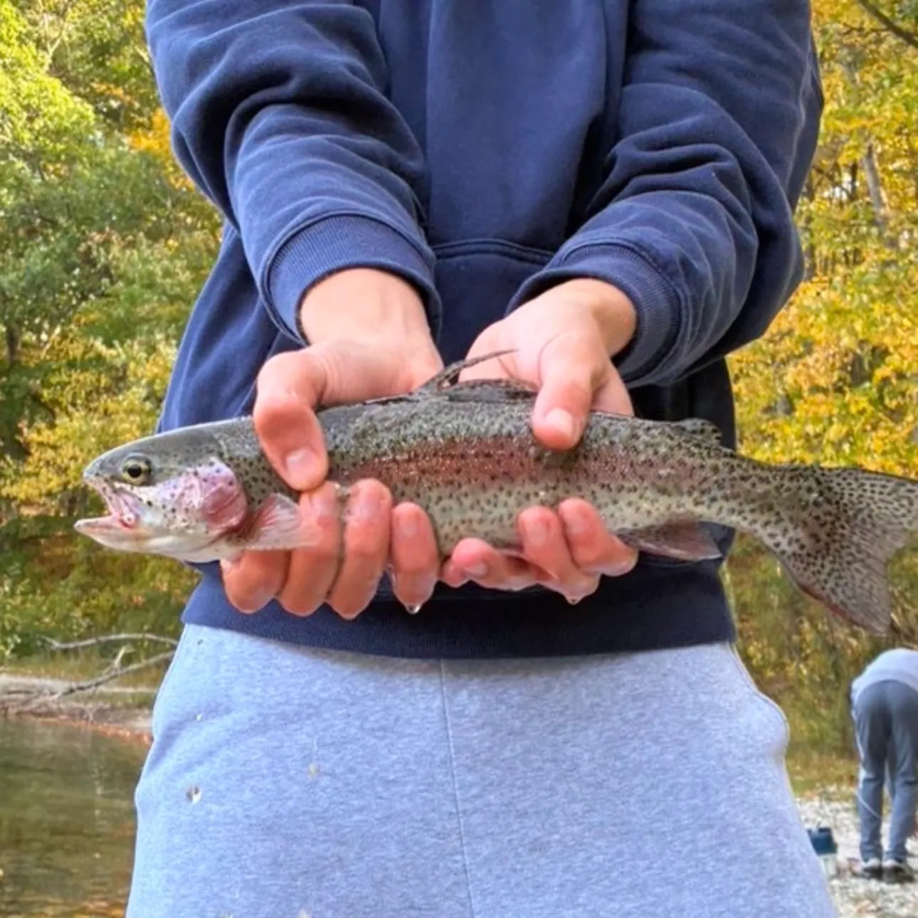 Rainbow trout caught on Fishbrain