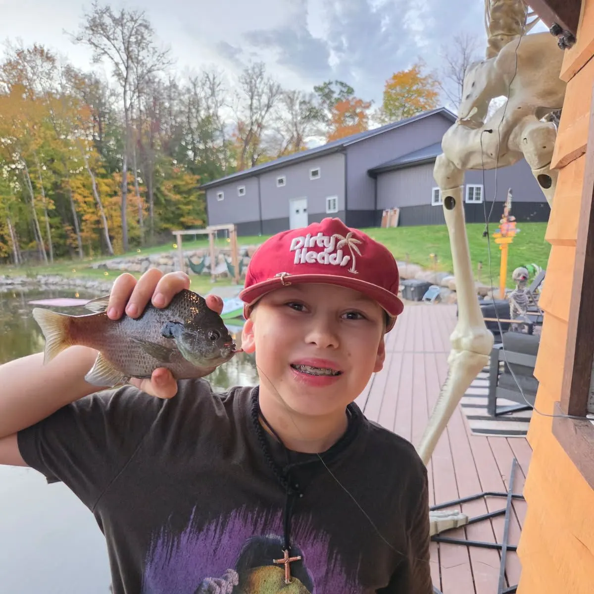 Bluegill caught on Fishbrain