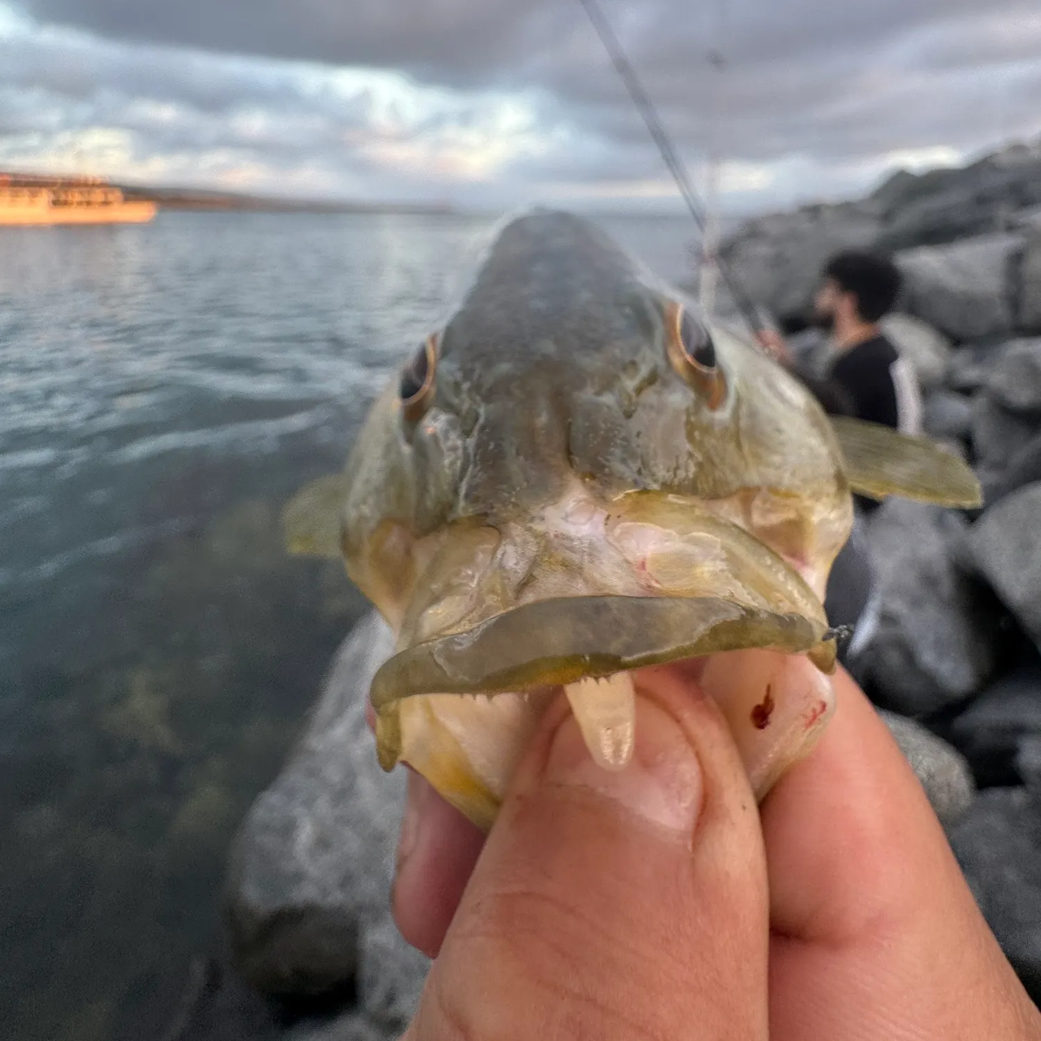catch