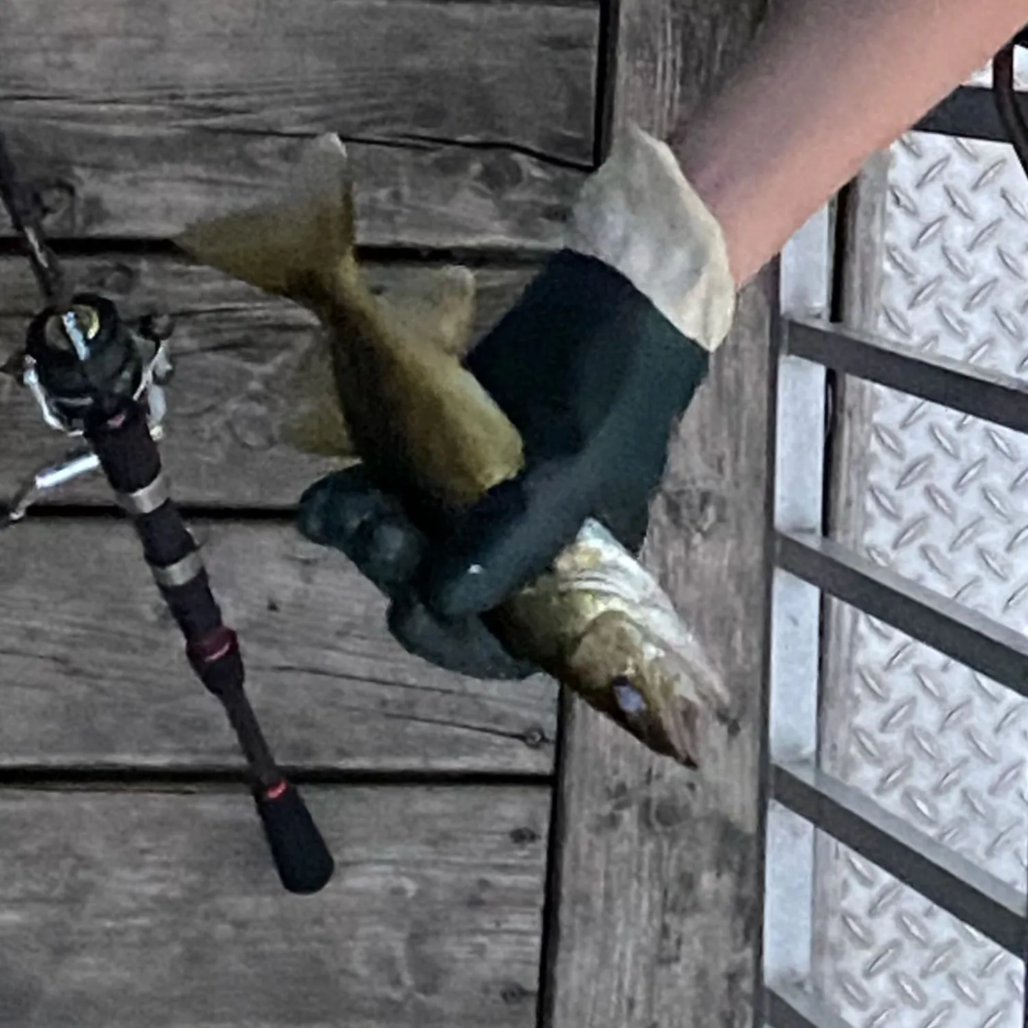 angler catch