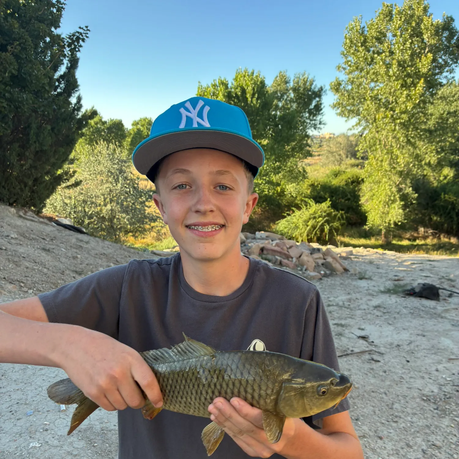Common carp caught on Fishbrain
