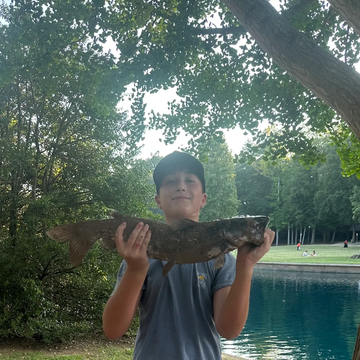 Channel catfish caught on Fishbrain