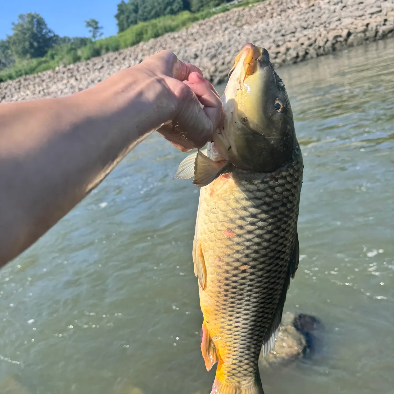 catch