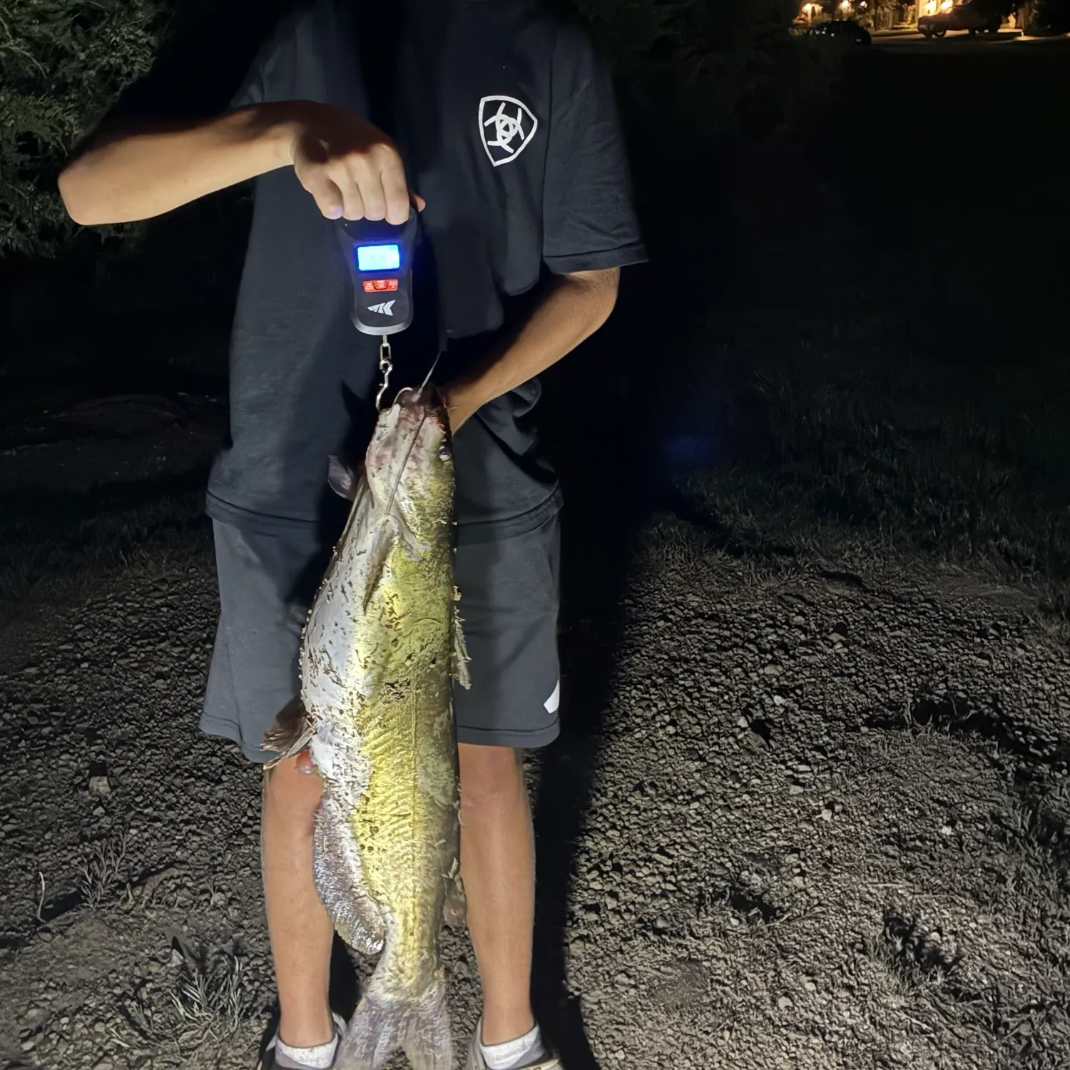 Fish caught on Fishbrain