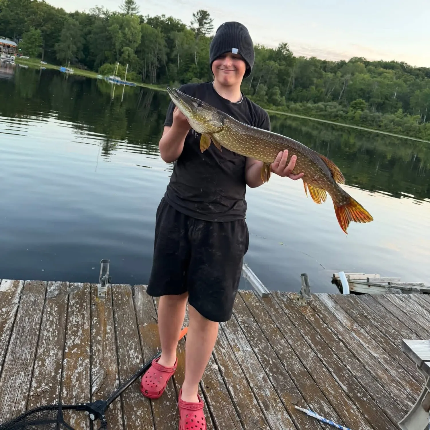 Northern pike caught on Fishbrain