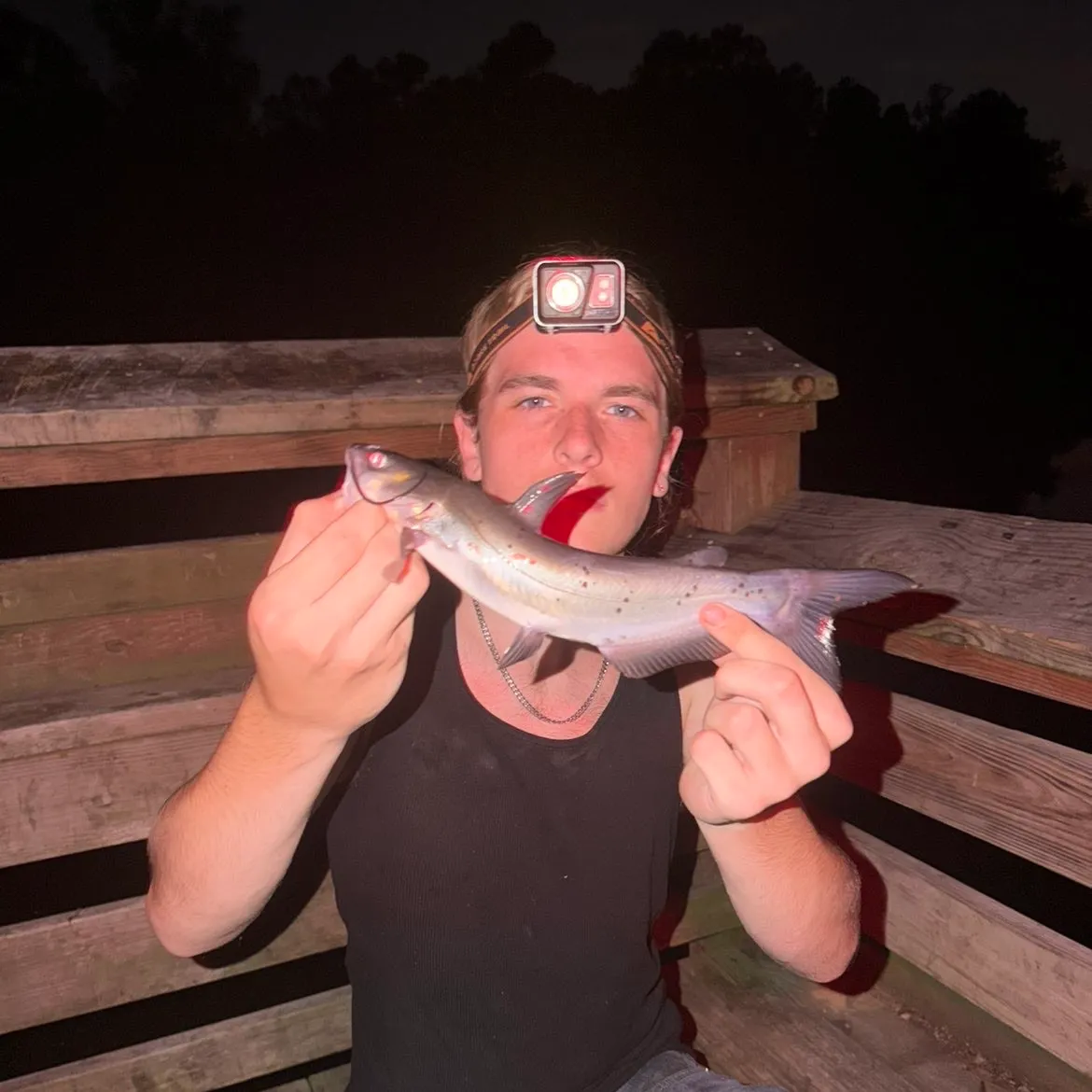 Channel catfish caught on Fishbrain