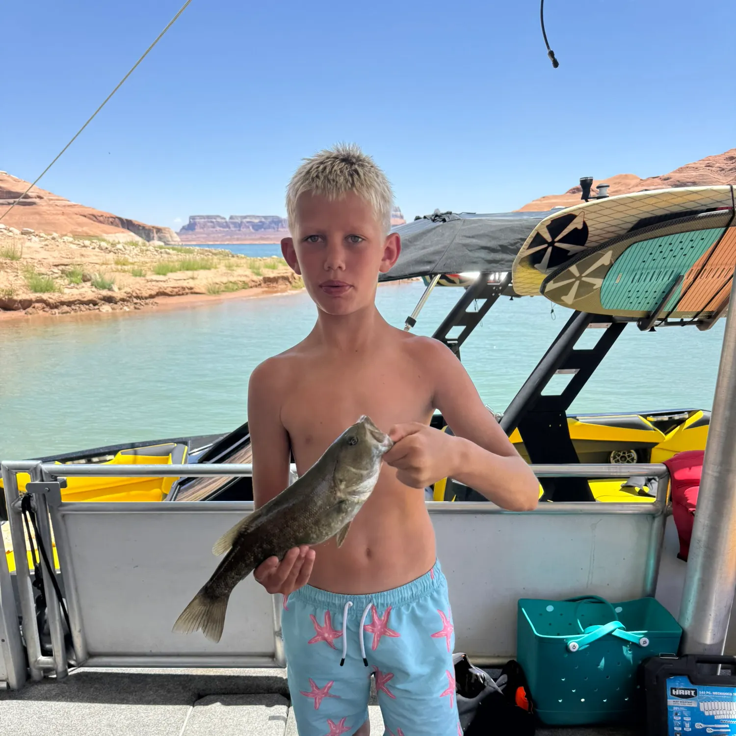 The most recent Smallmouth bass catches on Fishbrain