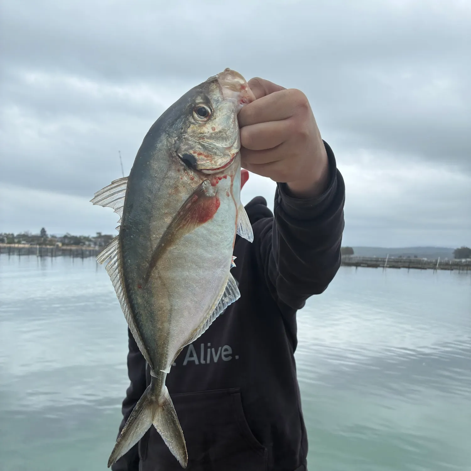 White trevally caught on Fishbrain