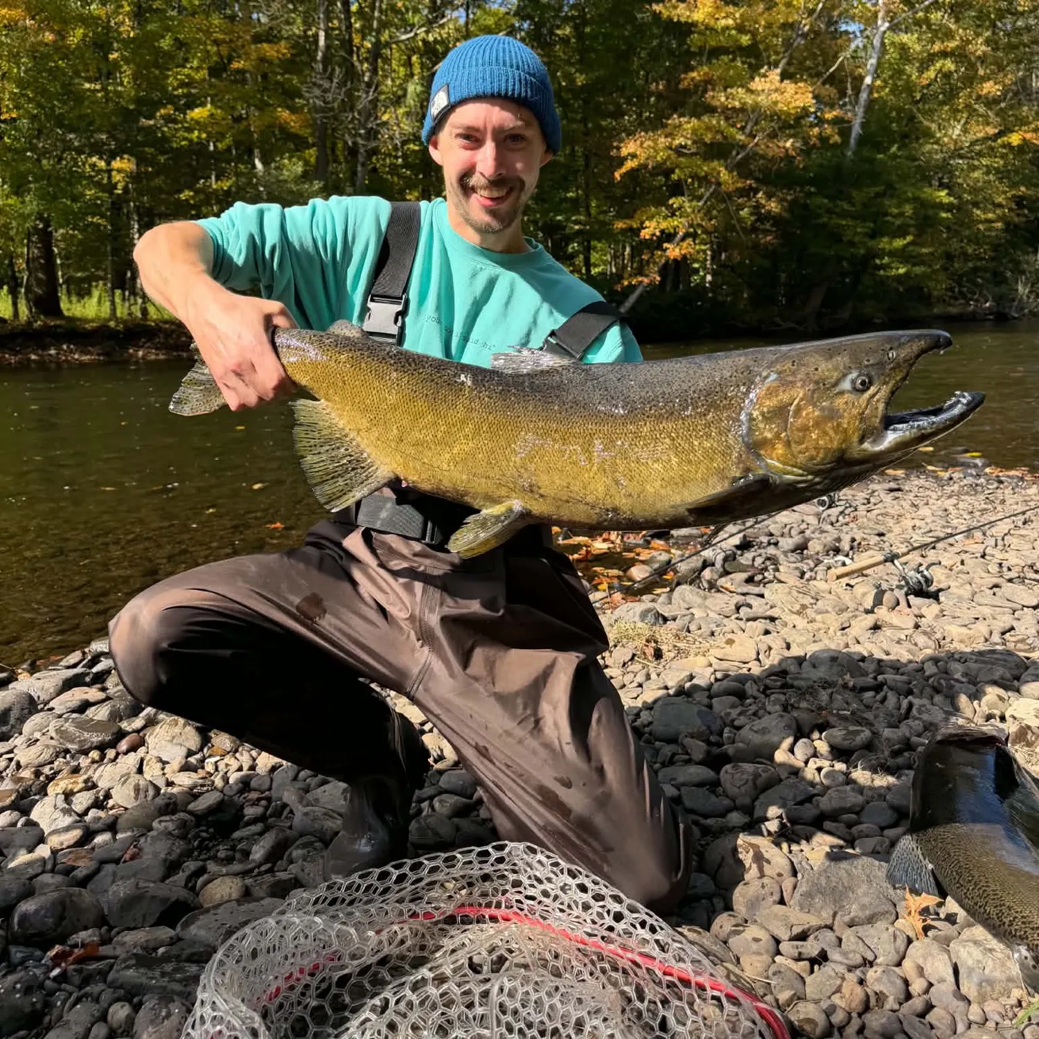 Chinook salmon caught on Fishbrain