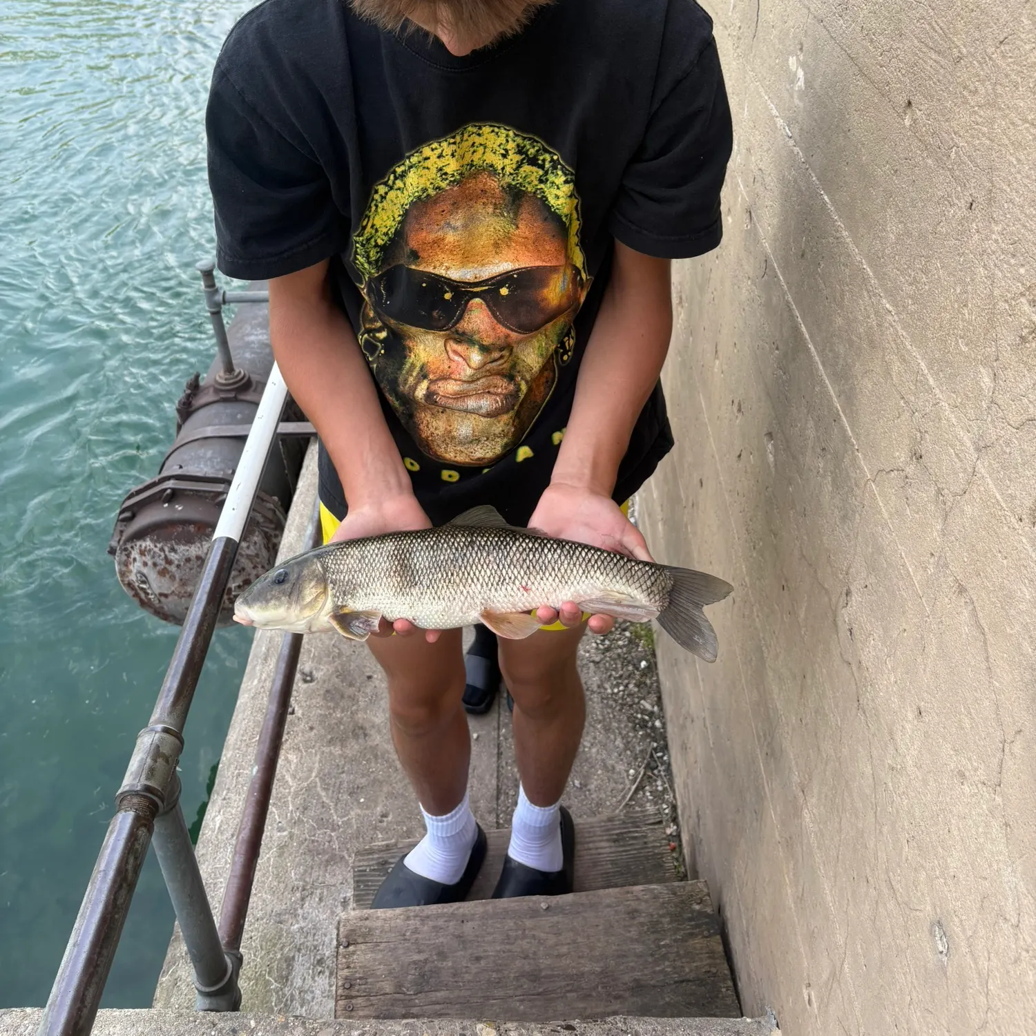 most liked catch image