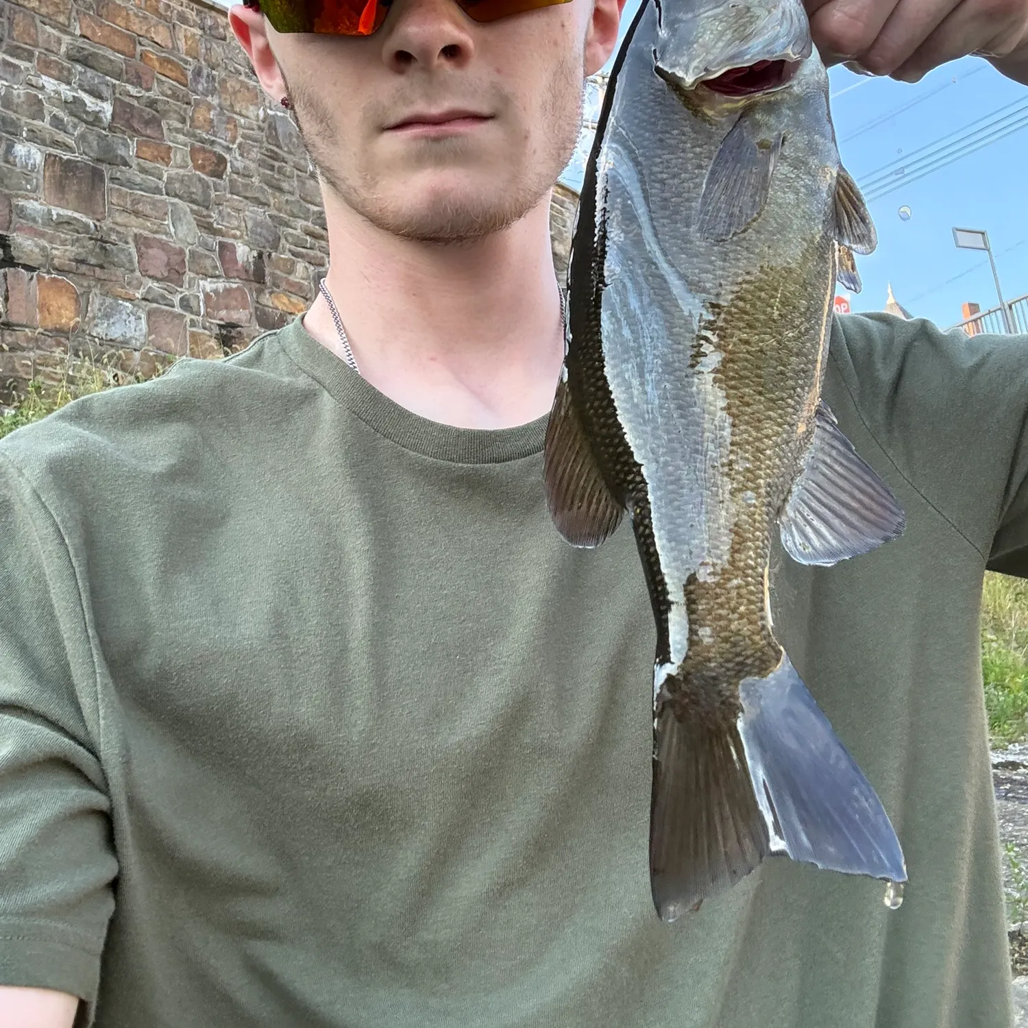 Smallmouth bass caught on Fishbrain
