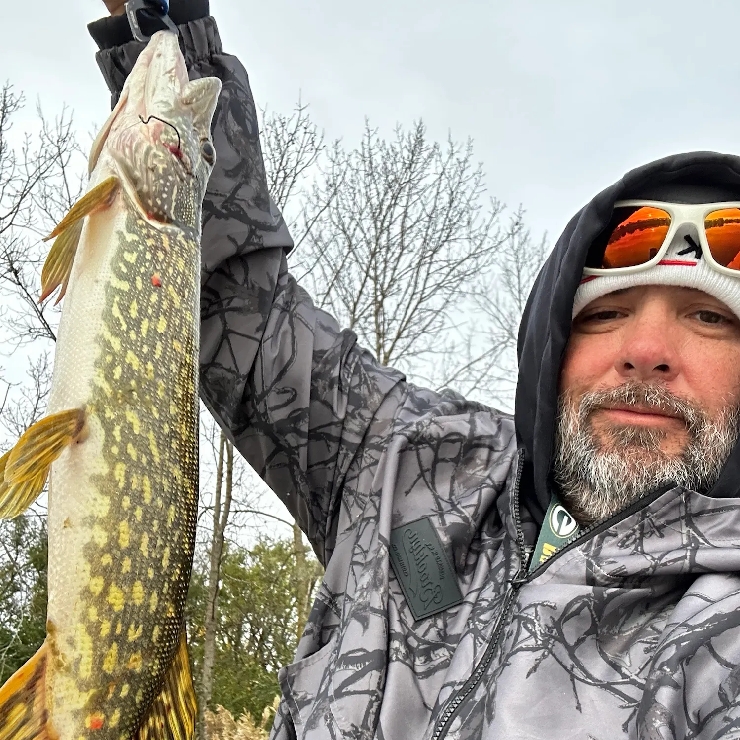 The most recent Northern pike catches on Fishbrain