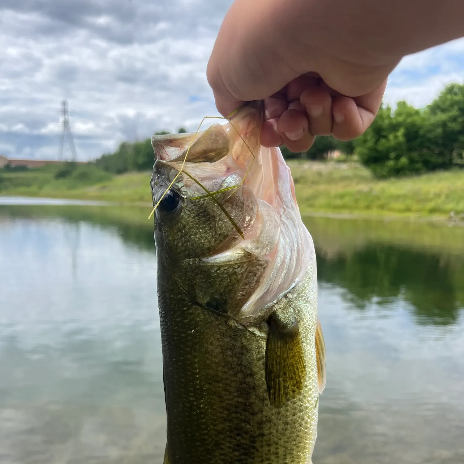 Fish caught on Fishbrain