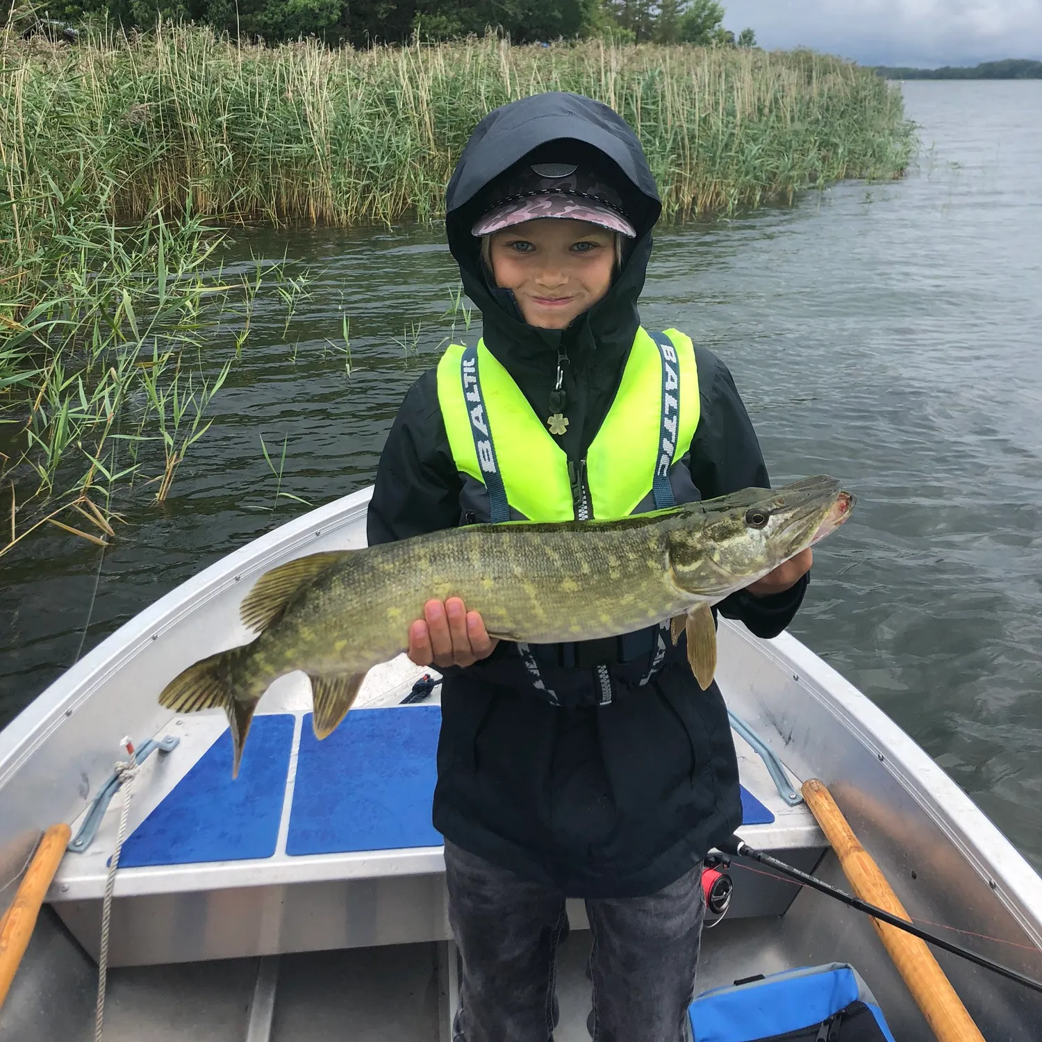 Northern pike caught on Fishbrain