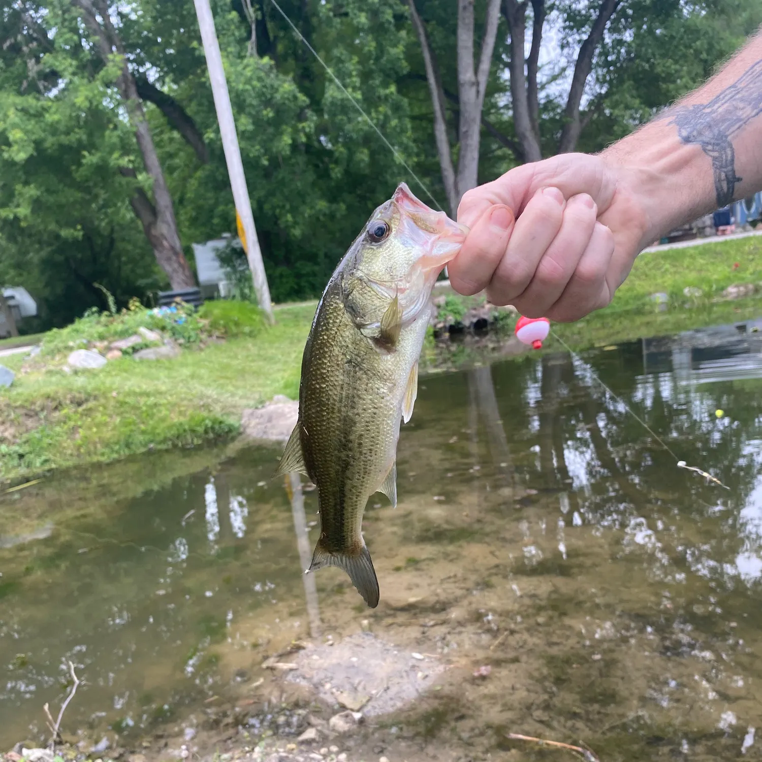 catch