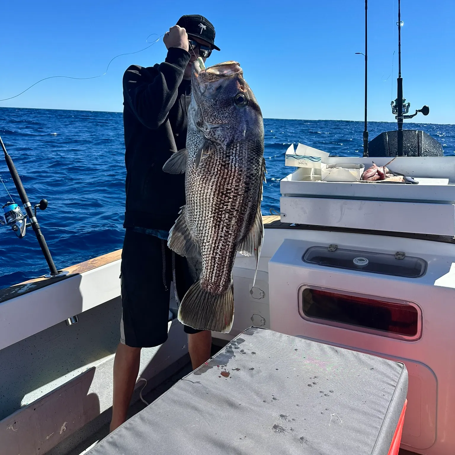 The most recent Westralian jewfish catches on Fishbrain