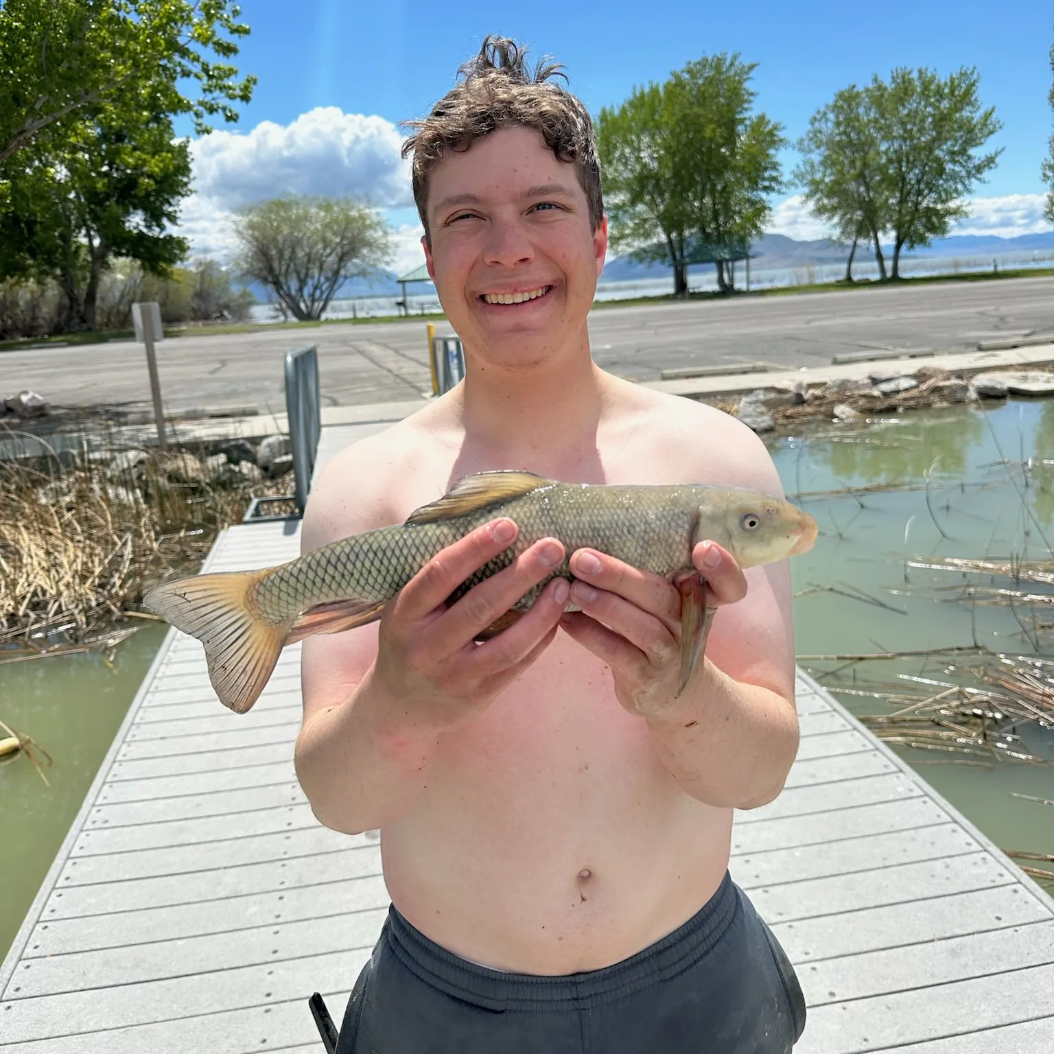 most liked catch image
