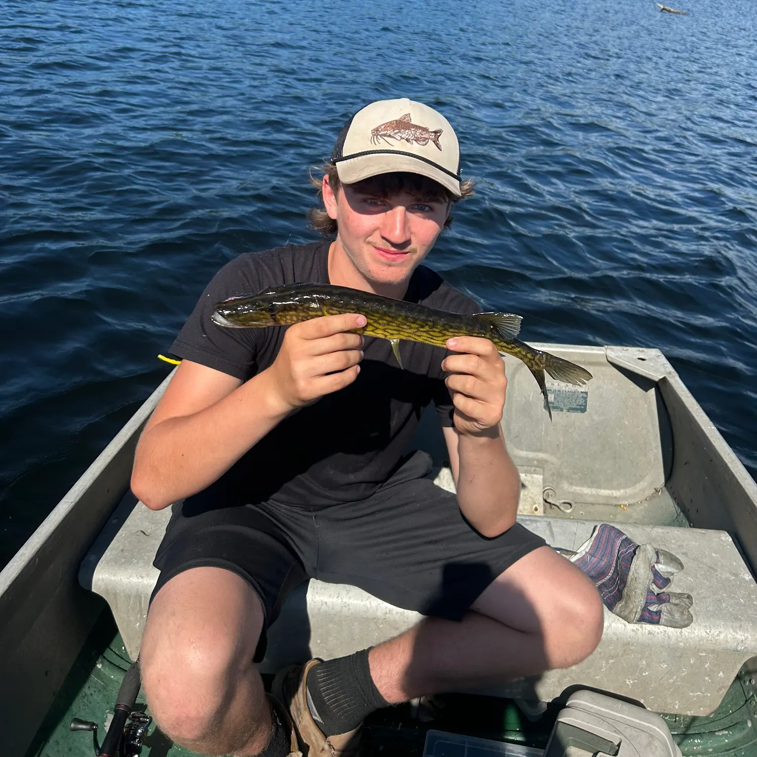 The most recent Grass pickerel catches on Fishbrain