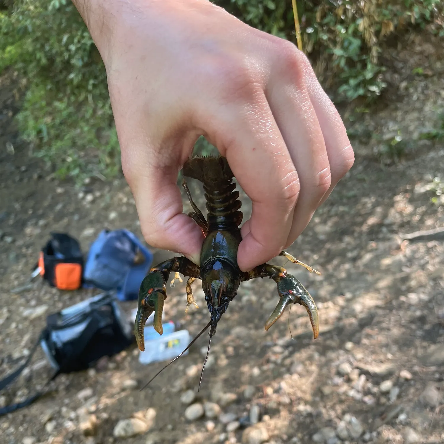 catch