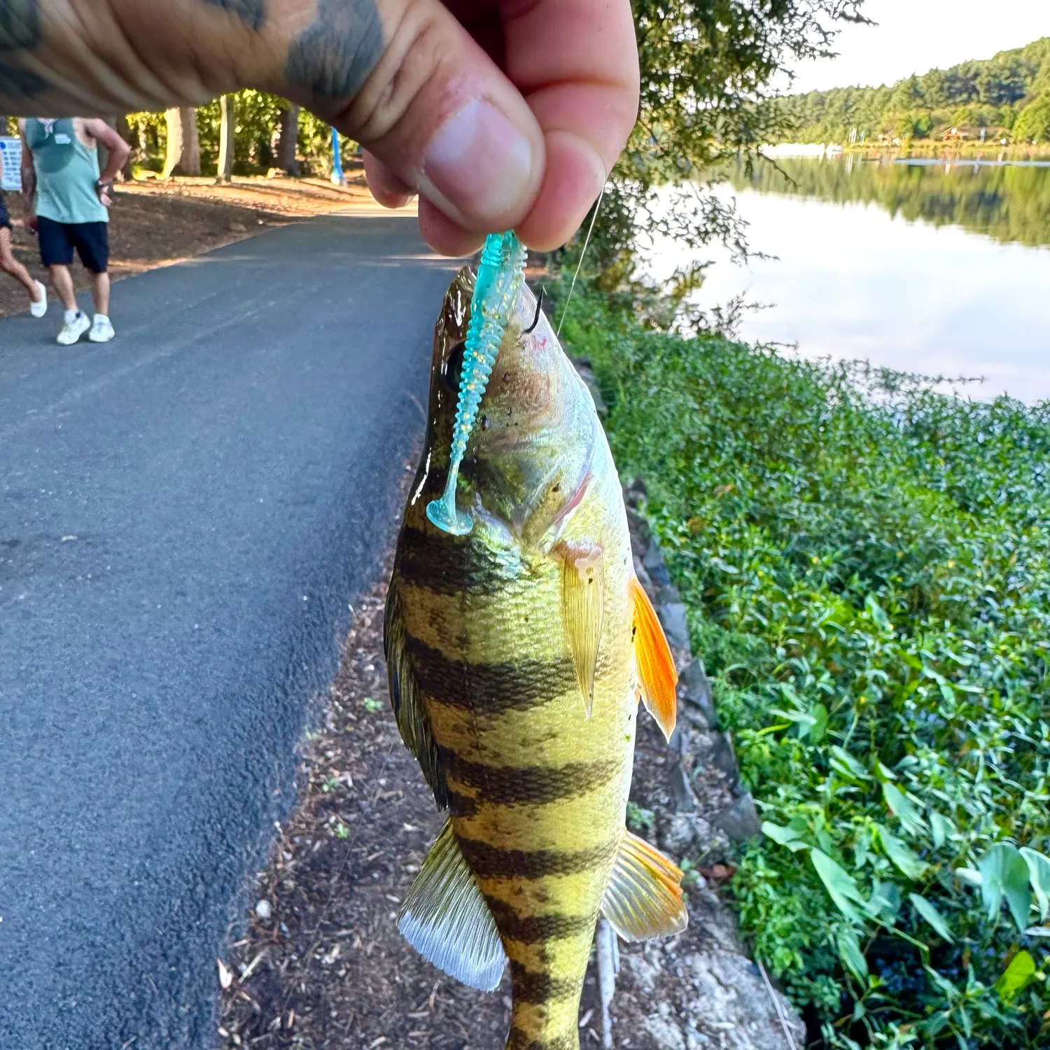 catch