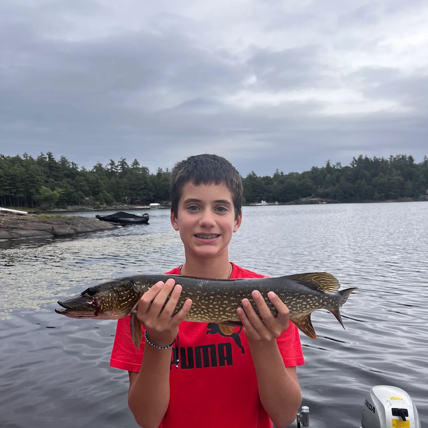 Northern pike caught on Fishbrain