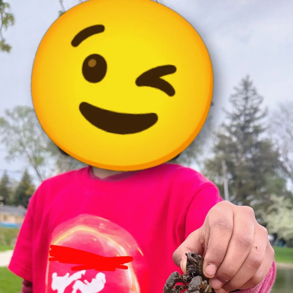 The most recent Variable crayfish catches on Fishbrain