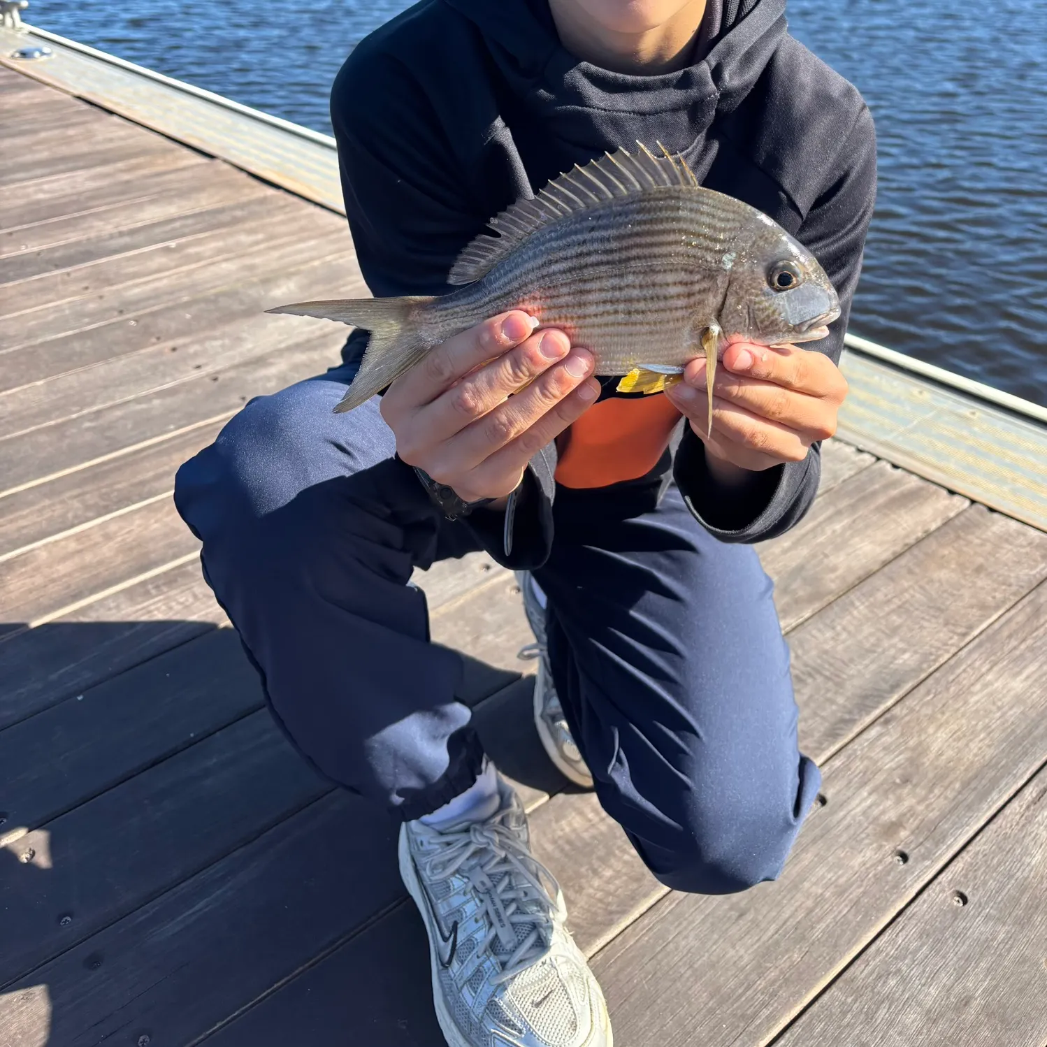 The most recent West Atlantic bonefish catches on Fishbrain