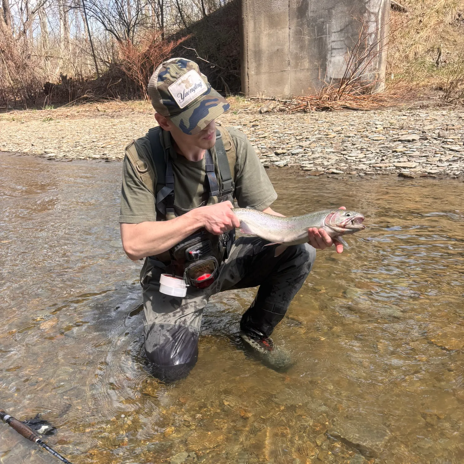 The most recent Steelhead catches on Fishbrain