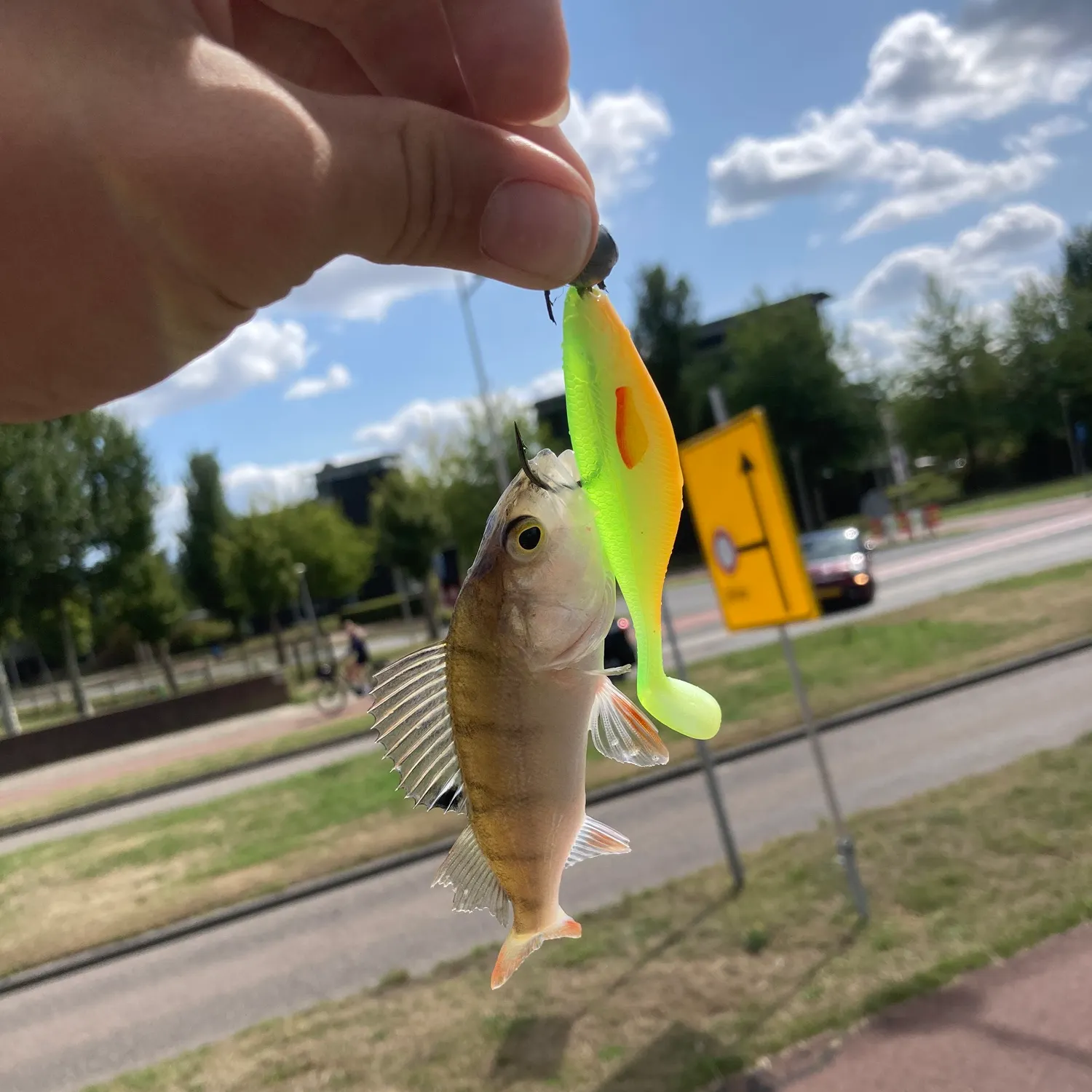catch