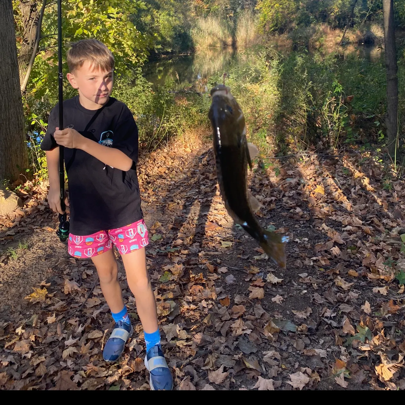 Bluegill caught on Fishbrain