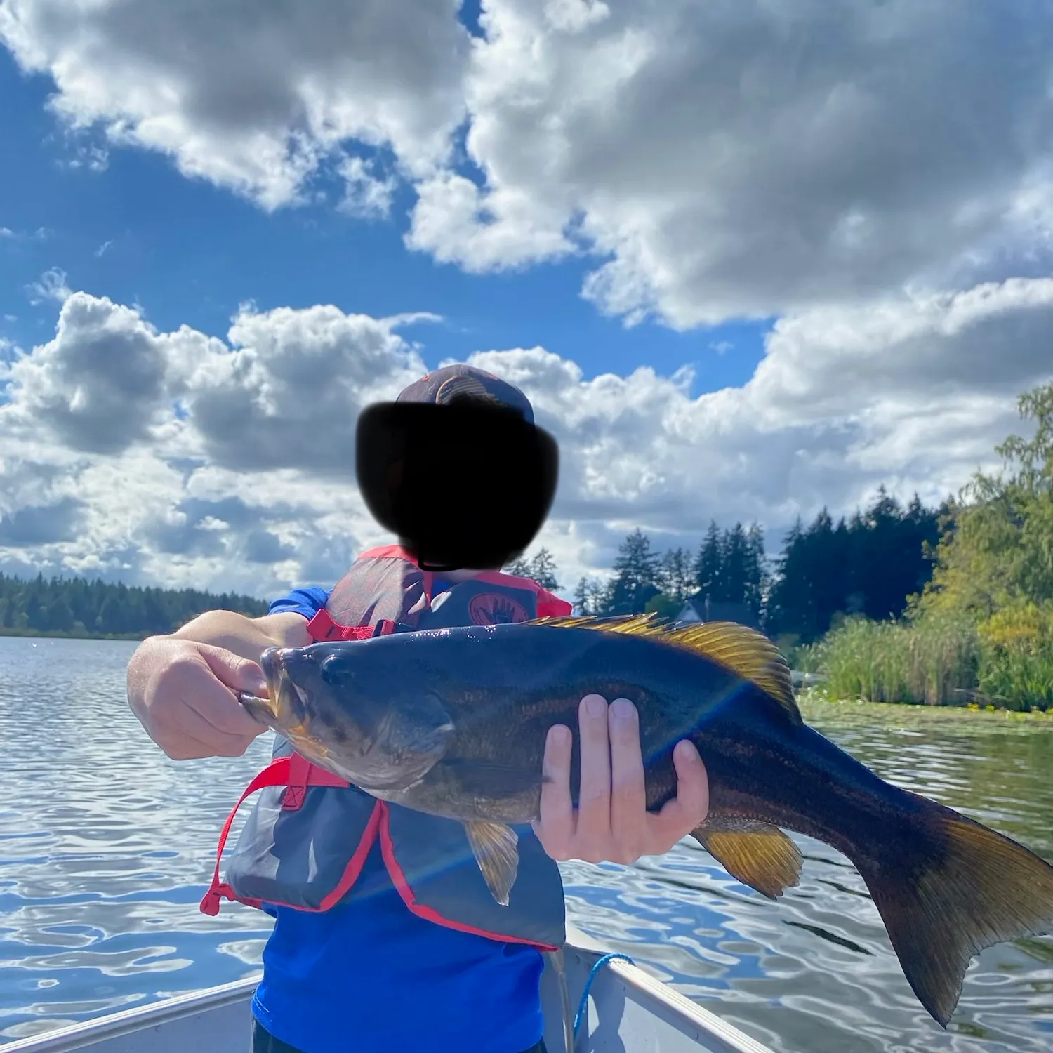 Smallmouth bass caught on Fishbrain