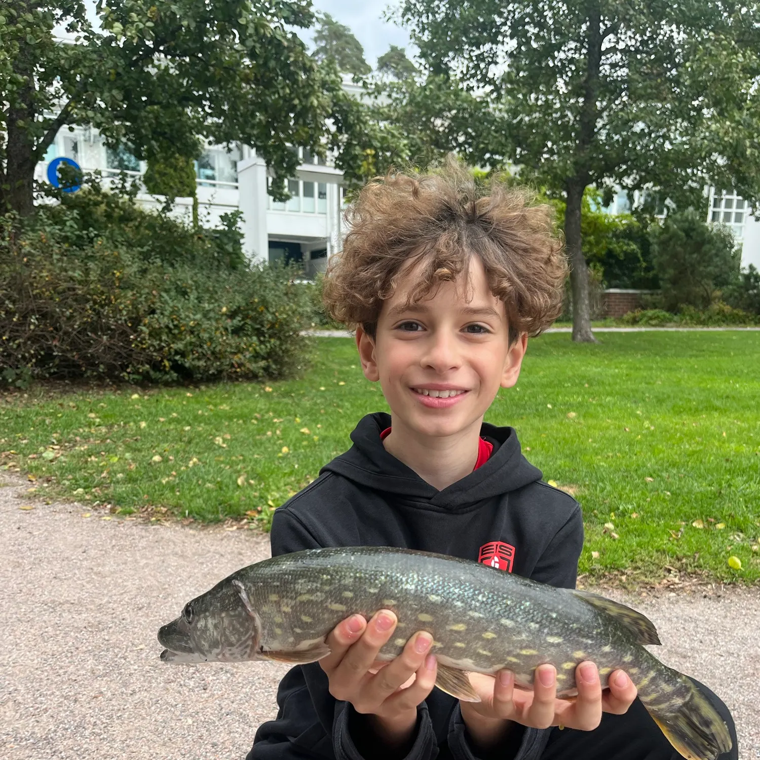 Northern pike caught on Fishbrain