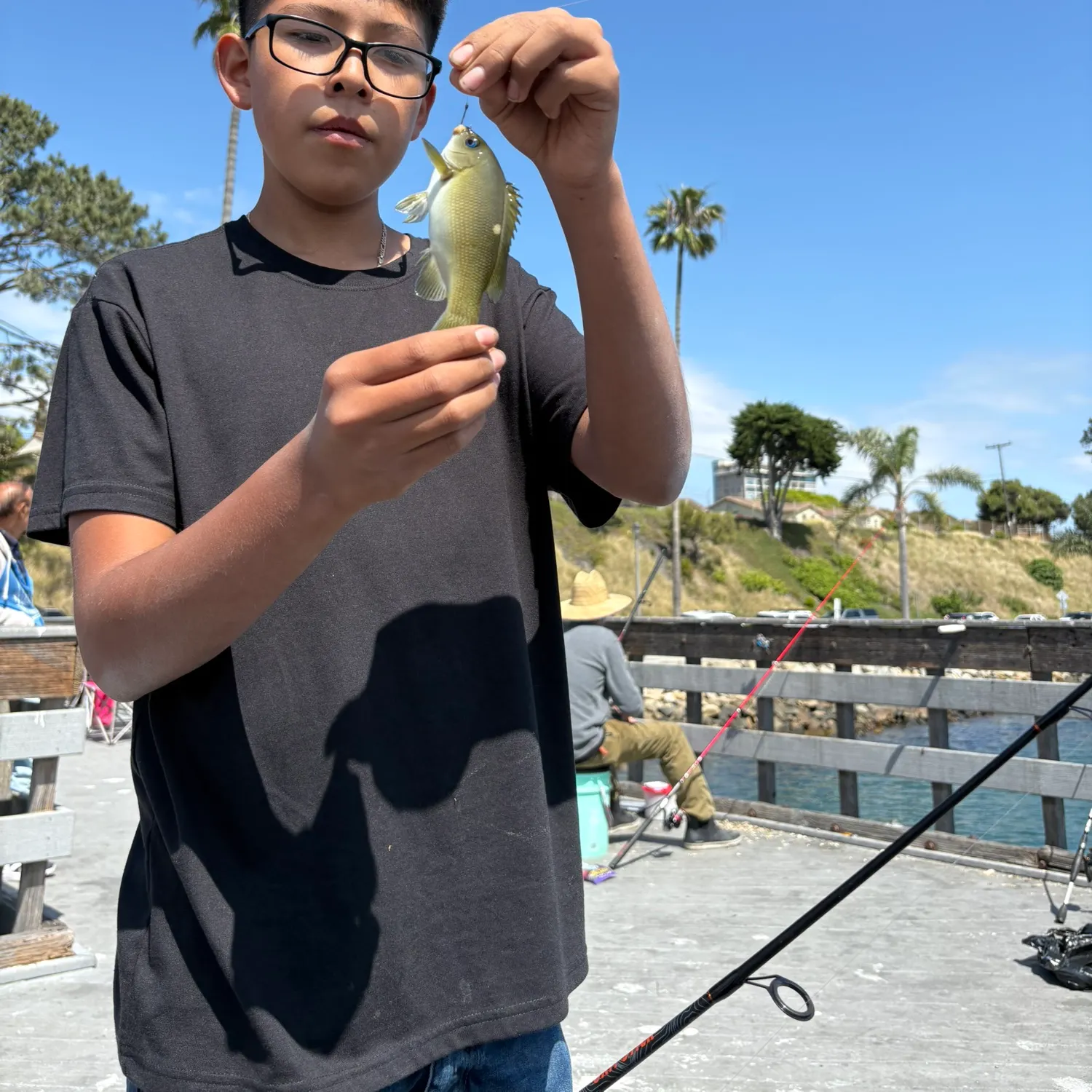 The most recent Opaleye catches on Fishbrain