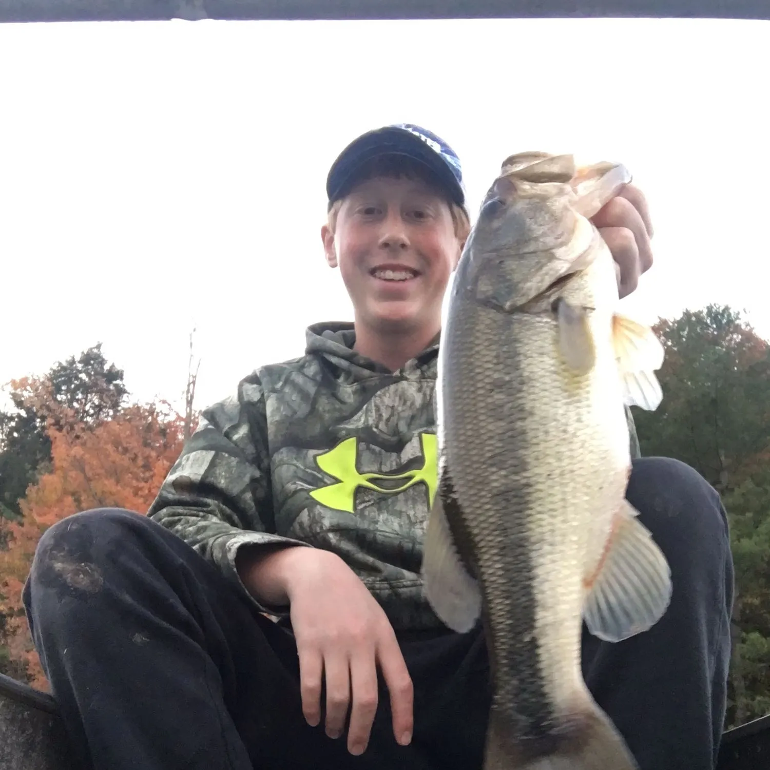 ᐅ Buck Horn Lake fishing reports🎣• Wells Bridge, NY (United States) fishing