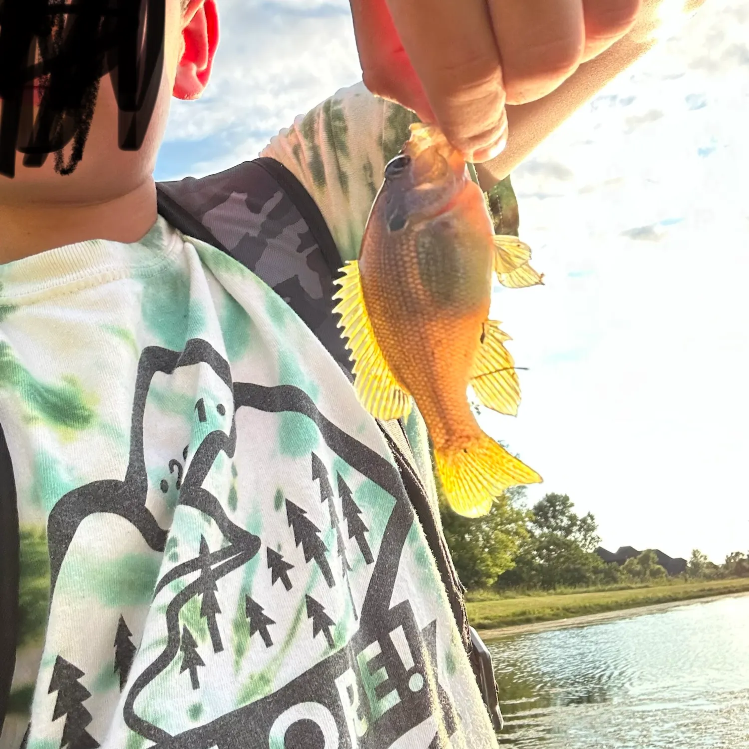 Green sunfish caught on Fishbrain