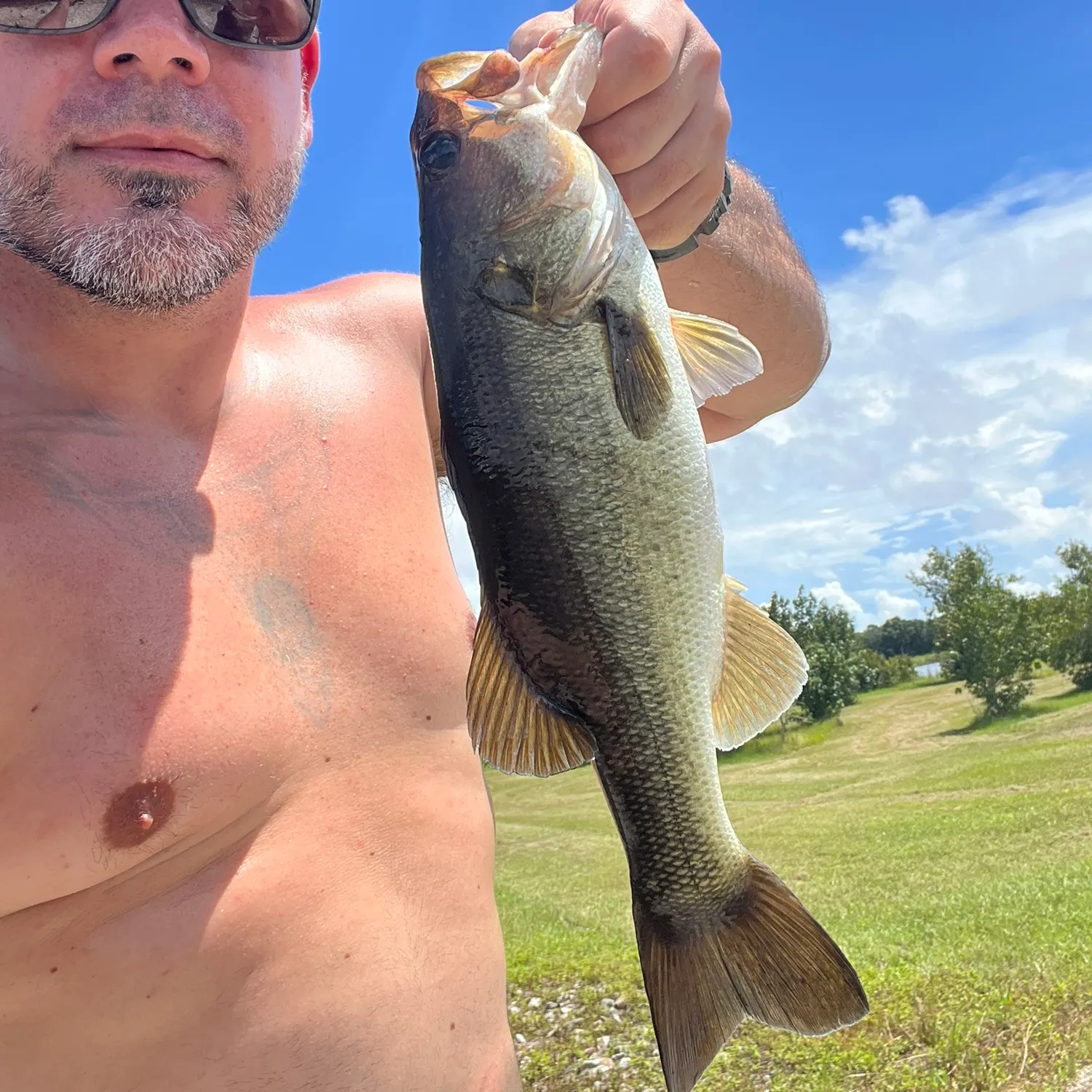 Largemouth bass caught on Fishbrain